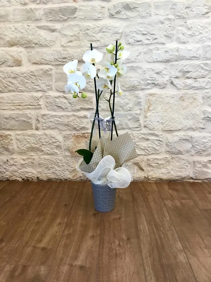 לינה וארוחת בוקר ג'ובינאצו B&B Sant'Agostino